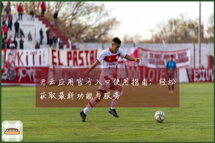 开云应用官方入口使用指南：轻松获取最新功能与服务